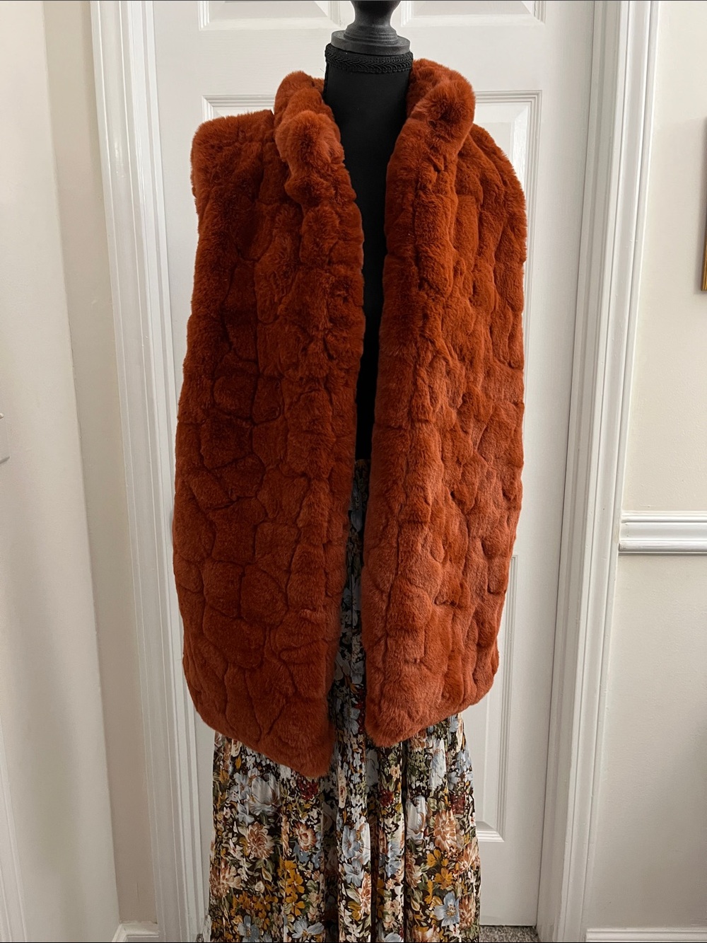 Rachel Zoe Plush Faux Fur Vest in Rust Brown